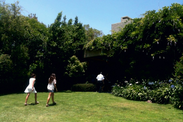 Untitled. From the series Patagonian Cytrus. 2012